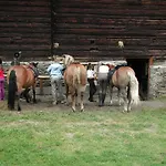 Familienparadies Wolfgangbauer Heiligenblut