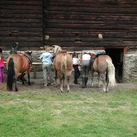 Familienparadies Wolfgangbauer Heiligenblut