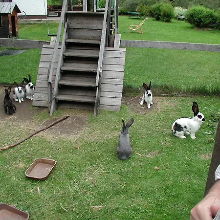 Apartment Familienparadies Wolfgangbauer Heiligenblut am Großglockner